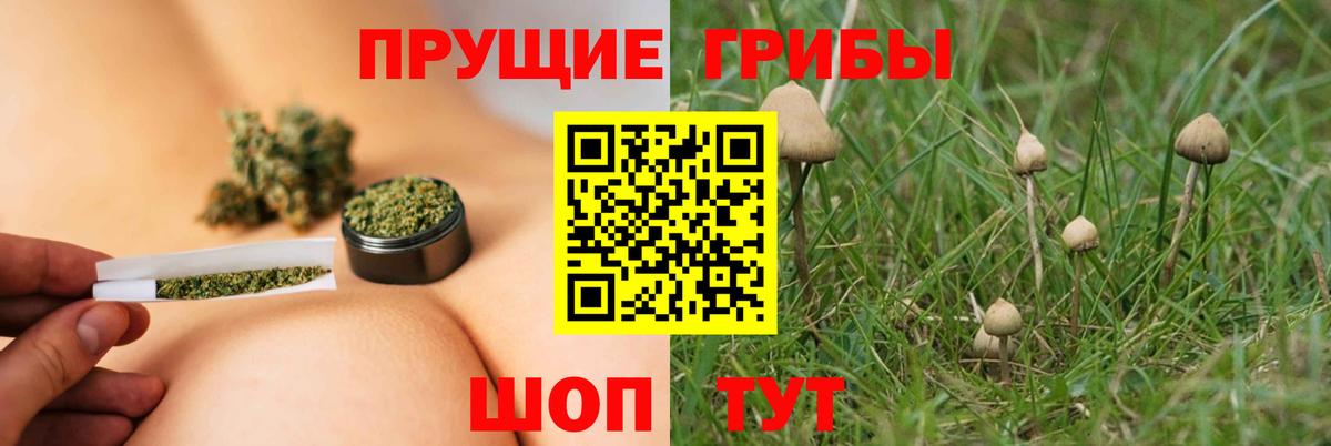 Нерюнгри  Галлюциногенные грибы ЛСД  Вход с VPN 